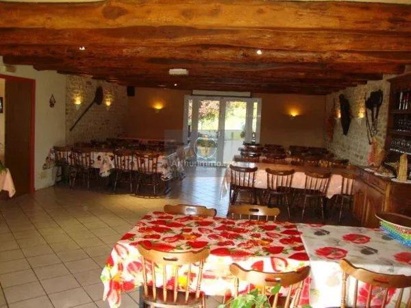 Vente Hôtel 21 pièces à Rolampont