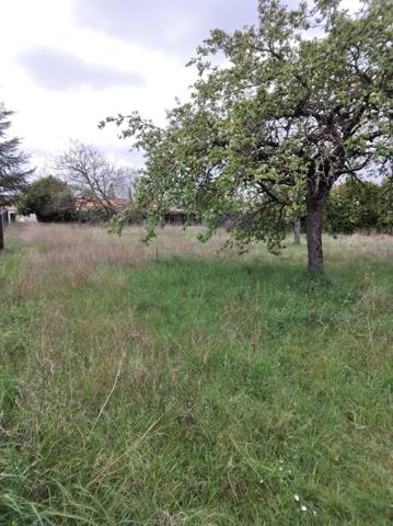 Terrain constructible