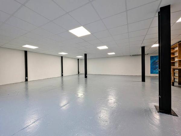 LOFT rénové  Aix Les Bains coeur de ville -  avec garages