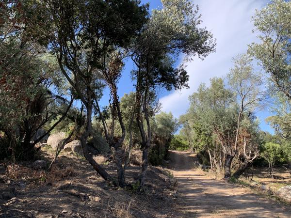 Sotta (20146) Charmante villa en pierre au calme de la campagne Corse