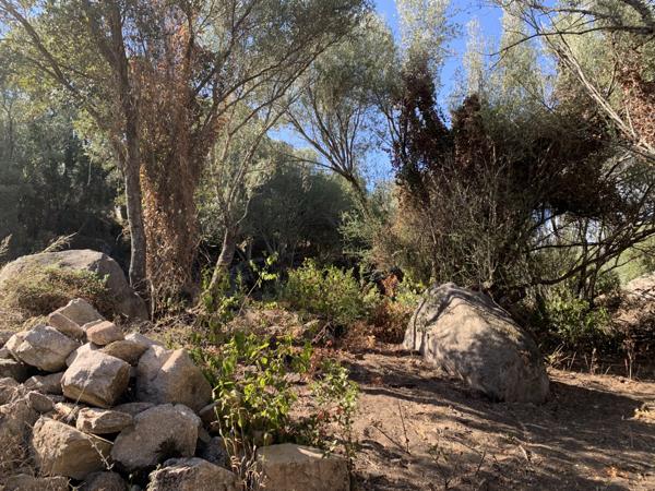 Sotta (20146) Charmante villa en pierre au calme de la campagne Corse