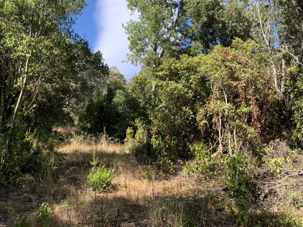 Sotta (20146) Charmante villa en pierre au calme de la campagne Corse