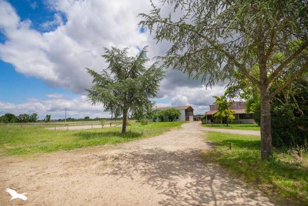 Maison à vendre |  Léguevin |  5 pièces | 151 m²