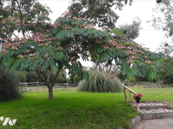 Larmor- plage, Immeuble de 2 appartements (1T2 ET 1 T5)