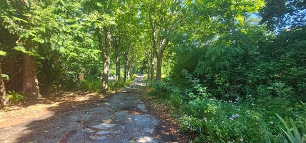 Propriété de 828m² sur 9045m² de terrain - Chorges