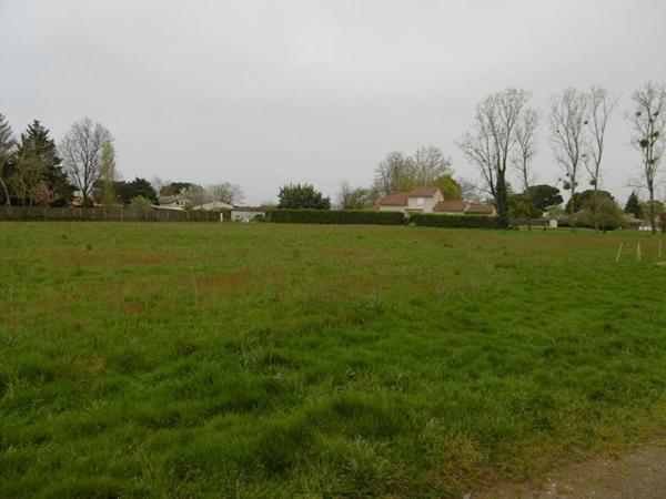 Terrain 2800 m2