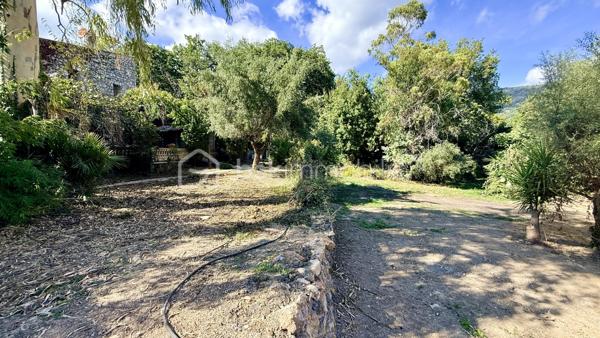 Dans le quartier de La Sine à Vence, à proximité des écoles, des transports et avec un accès rapide au centre-ville, découvrez cette maison familiale de 253 m² loi Carrez, implantée sur un vaste terrain plat d’environ 4 000 m², sans vis-à-vis et piscinable.

Avec son intérieur rénové, son excellent DPE B et ses beaux volumes, la maison offre une configuration particulièrement adaptée à la vie de famille.

Au rez-de-chaussée, vous découvrirez un vaste séjour avec une belle hauteur sous plafond et une cuisine neuve entièrement équipée. Ce niveau dispose également de deux chambres en suite, chacune avec sa salle de bains neuve, d’une buanderie ainsi que d’un WC invités.

Une véranda complète ce niveau et offre un espace supplémentaire à aménager selon vos besoins.

À l’étage, vous trouverez deux chambres supplémentaires, un bureau idéal pour le télétravail, une salle d’eau neuve ainsi que deux WC. Une tropézienne permet également de profiter d’un extérieur à l’étage.

Un grenier accessible indépendamment par l’extérieur offre un espace de stockage complémentaire.

Côté extérieur, la propriété bénéficie d’un véritable atout avec son terrain plat d’environ 4 000 m², sans vis-à-vis, piscinable et constructible. Il offre de nombreuses possibilités d’aménagement et présente également un potentiel de détachement parcellaire, sous réserve des autorisations d’urbanisme et de la faisabilité technique du projet.

Un patio d’entrée, une grande terrasse et une aire de stationnement pouvant accueillir plusieurs véhicules complètent la propriété.

Les + :

* 253 m² loi Carrez
* 4 chambres + bureau
* 2 salles de bains + 1 salle d’eau neuves
* Vaste pièce de vie avec belle hauteur sous plafond
* Cuisine neuve entièrement équipée
* Maison entièrement climatisée
* Intérieur rénové
* Excellent DPE B
* Terrain plat d’environ 4 000 m², sans vis-à-vis et piscinable
* Terrain constructible avec potentiel de détachement parcellaire
* Grande terrasse
* Véranda
* Buanderie et grenier
* Stationnement pour plusieurs véhicules
* Proximité des écoles, transports, services et centre-ville

Une maison familiale aux volumes généreux, offrant espace, confort et de nombreuses possibilités d’évolution sur le secteur de Vence.