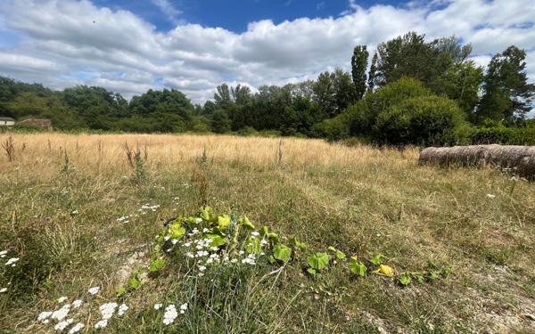 Terrain à vendre    Marcilly-en-Gault