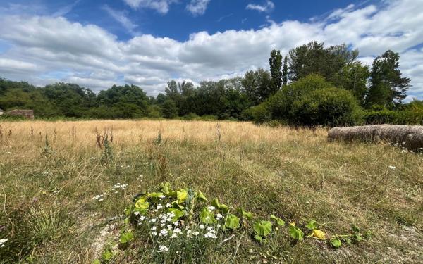 Terrain à vendre    Marcilly-en-Gault