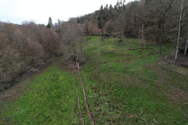 Terrain à FORGES, 19380 - 13515m²