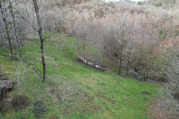 Terrain à FORGES, 19380 - 13515m²