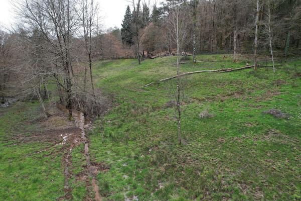 Terrain à FORGES, 19380 - 13515m²