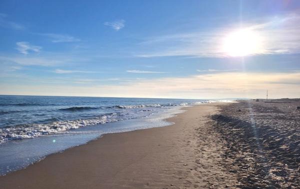 Vente Maison à 300 mètres de la plage Portiragnes-plage   