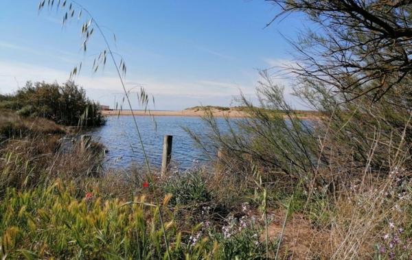 Vente Maison à 300 mètres de la plage Portiragnes-plage   