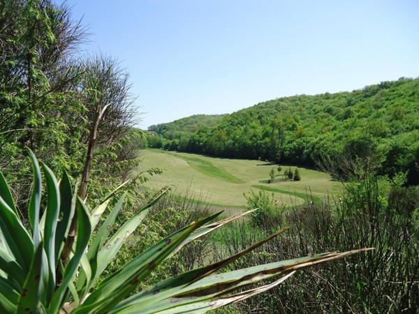 9 trous de golf avec hébergement et bar/terrasse