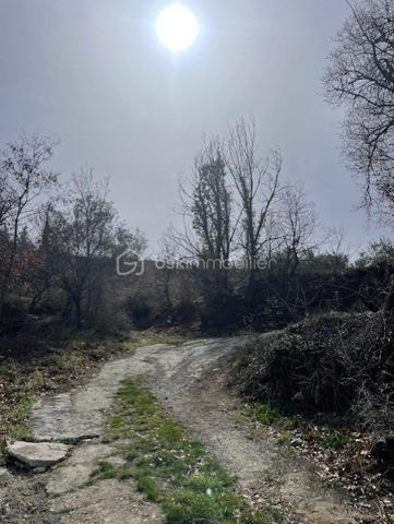 Terrain agricole de 4 607 m²