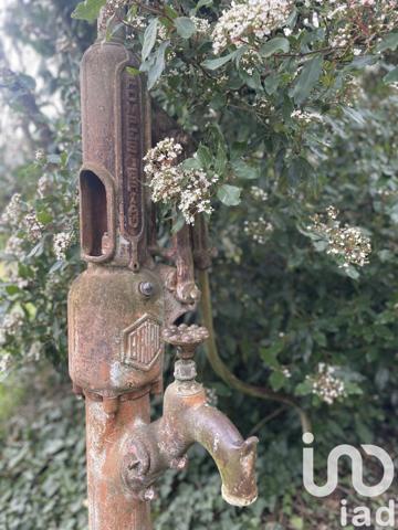 Maison rustique 3 pièces de 53 m² à Martizay (36220)