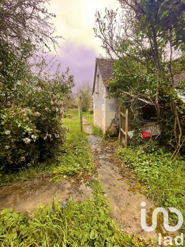 Maison rustique 3 pièces de 53 m² à Martizay (36220)