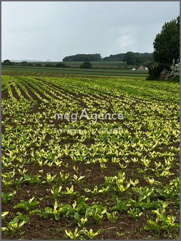Terrain à MONTRECOURT, 59227 - 933m²