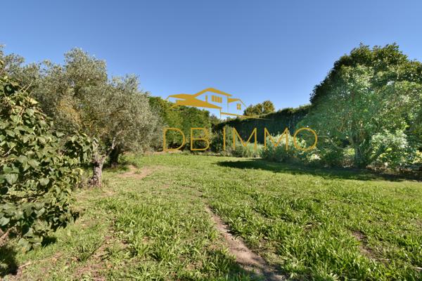 Châteaurenard (13160) Authentique mas provençal à rénover – charme, calme et potentiel aux portes de Châteaurenard