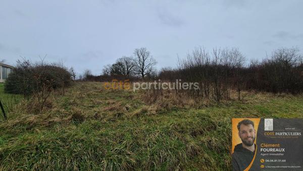 Vente
                Terrain2084 m² - LAHEYCOURT (55800)