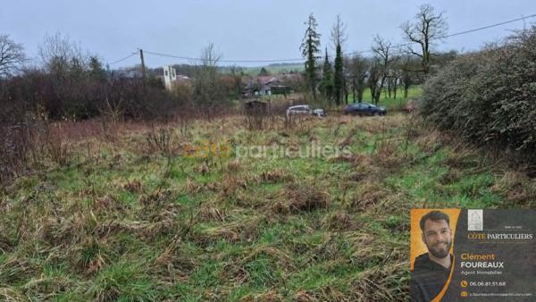 Vente
                Terrain2084 m² - LAHEYCOURT (55800)