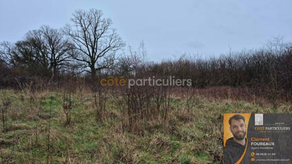 Vente
                Terrain2084 m² - LAHEYCOURT (55800)