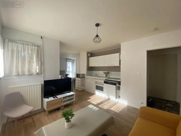 Location - Appartement Angers 49000 1 pièce 34 m 2