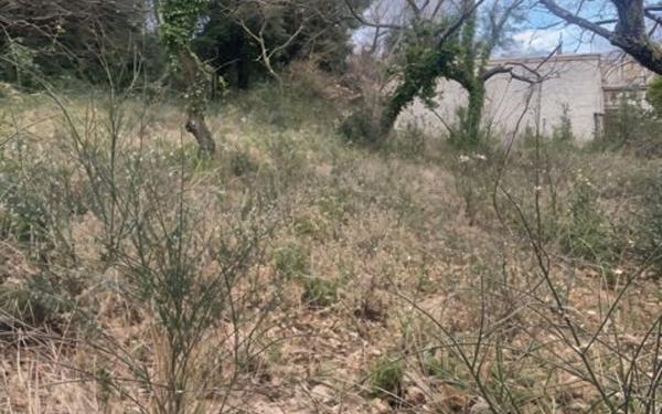 Terrain à vendre    Saint-Paul-Trois-Châteaux