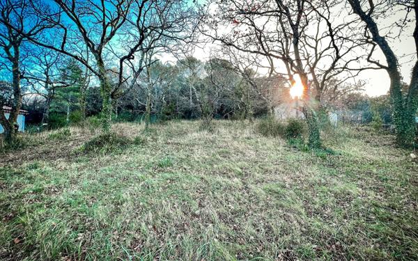 Terrain à vendre    Saint-Paul-Trois-Châteaux