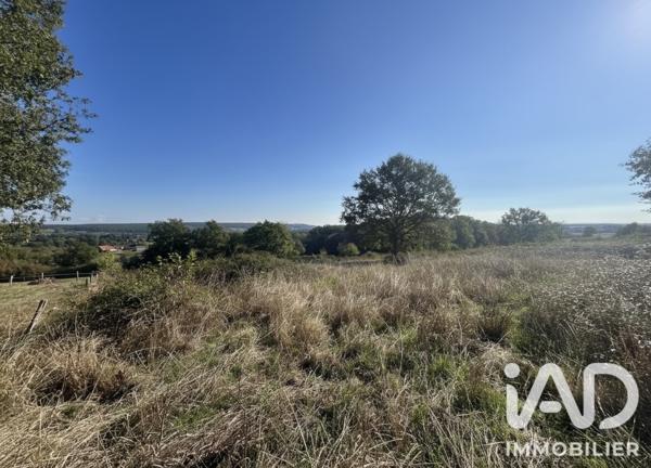 Terrain à vendre 5 226 m² Nozières