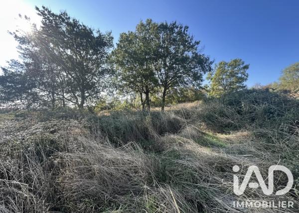Terrain à vendre 5 226 m² Nozières