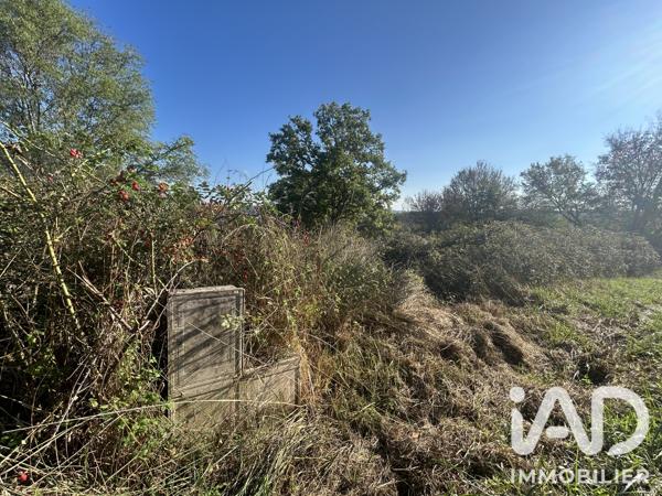 Terrain à vendre 5 226 m² Nozières