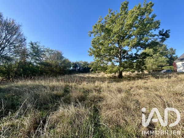Terrain à vendre 5 226 m² Nozières