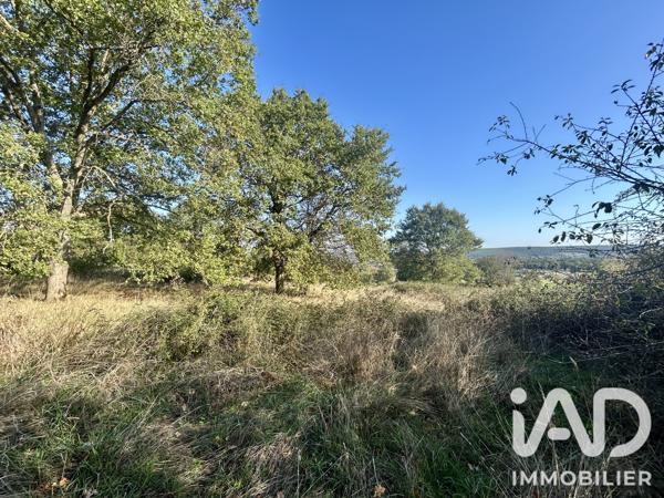 Terrain à vendre 5 226 m² Nozières