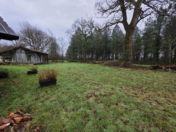 Terrain 2383 m2 + grange - Saint Vincent de Paul