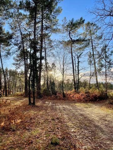 Maison 5 pièces-Terrain d'environ 915m² avec Dépendance de 35m²