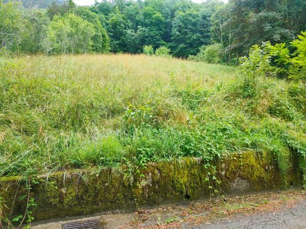 EXCEPTIONNEL A SAISIR  TERRAIN SALINS LES BAINS JURA