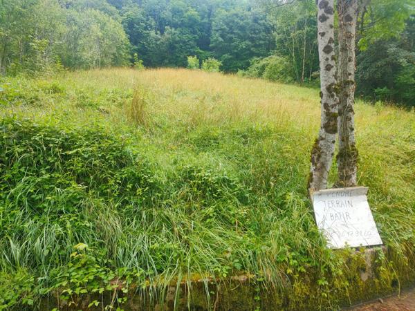 EXCEPTIONNEL A SAISIR  TERRAIN SALINS LES BAINS JURA