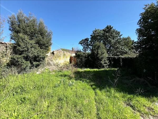 Immeuble à vendre |  Châteauneuf-sur-Charente |  262 m²