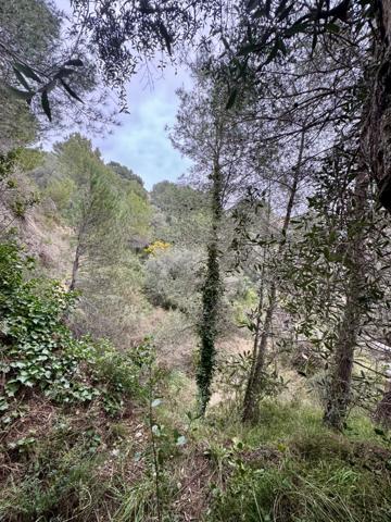 La Sirole Exclusivité|Terrain 2500m2|Colomars 06046