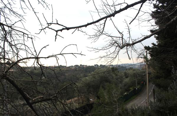 La Sirole Exclusivité|Terrain 2500m2|Colomars 06046