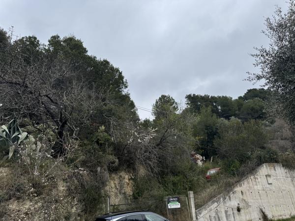 La Sirole Exclusivité|Terrain 2500m2|Colomars 06046