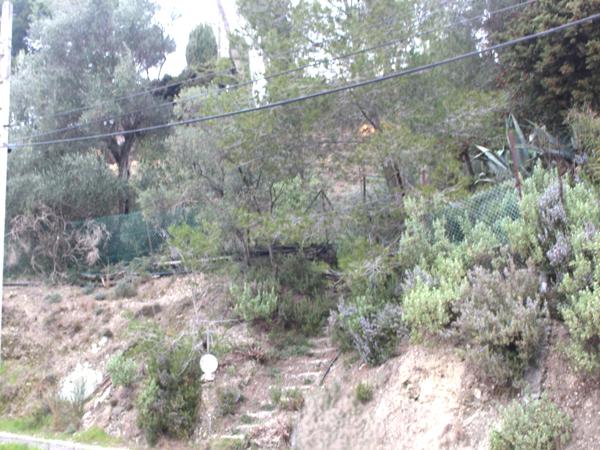 La Sirole Exclusivité|Terrain 2500m2|Colomars 06046