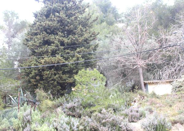 La Sirole Exclusivité|Terrain 2500m2|Colomars 06046