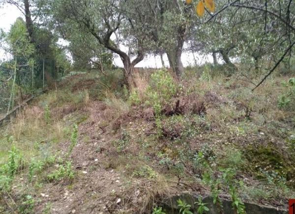 La Sirole Exclusivité|Terrain 2500m2|Colomars 06046