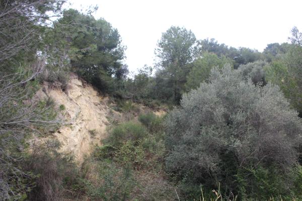 La Sirole Exclusivité|Terrain 2500m2|Colomars 06046