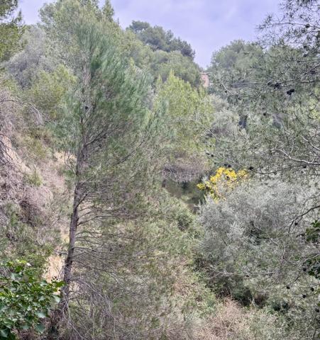 La Sirole Exclusivité|Terrain 2500m2|Colomars 06046