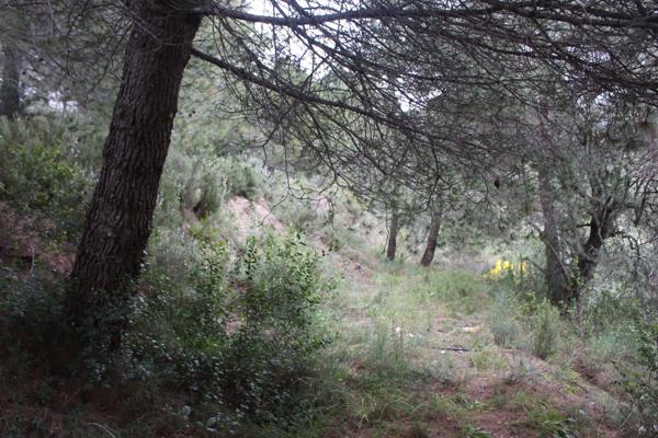 La Sirole Exclusivité|Terrain 2500m2|Colomars 06046