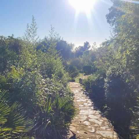 maison à vendre  6 pièces - 112 m2 LA CROIX VALMER - 83